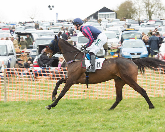 Race 5 - Open Maiden (55 of 190).jpg