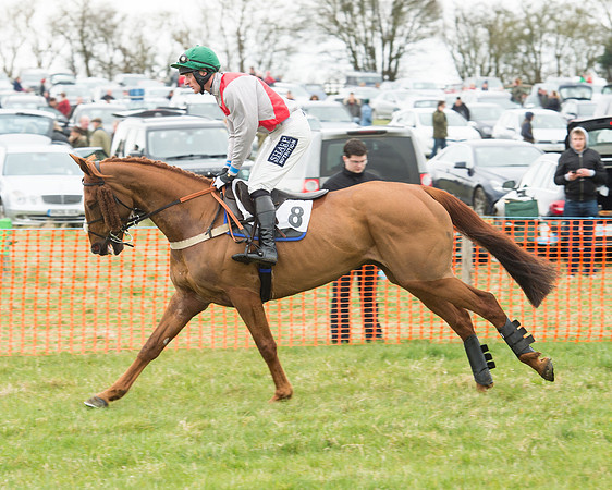Race 5 - Open Maiden (56 of 190).jpg