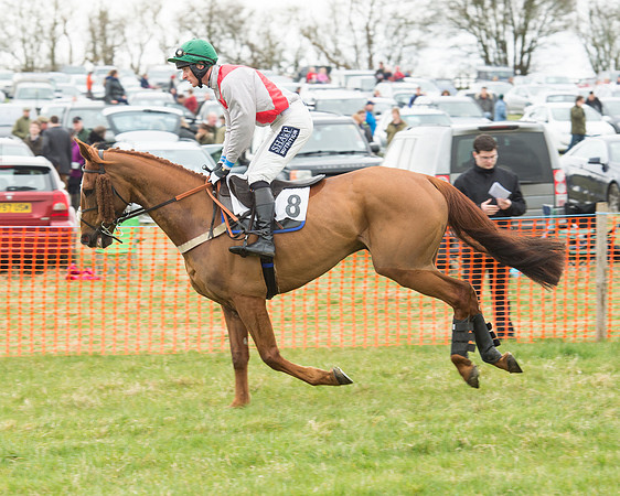 Race 5 - Open Maiden (57 of 190).jpg