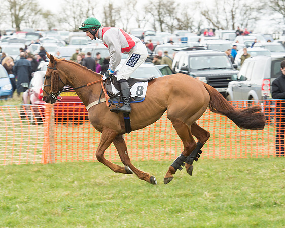 Race 5 - Open Maiden (58 of 190).jpg
