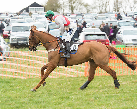 Race 5 - Open Maiden (60 of 190).jpg
