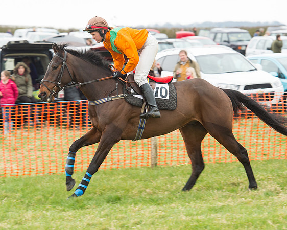 Race 5 - Open Maiden (61 of 190).jpg