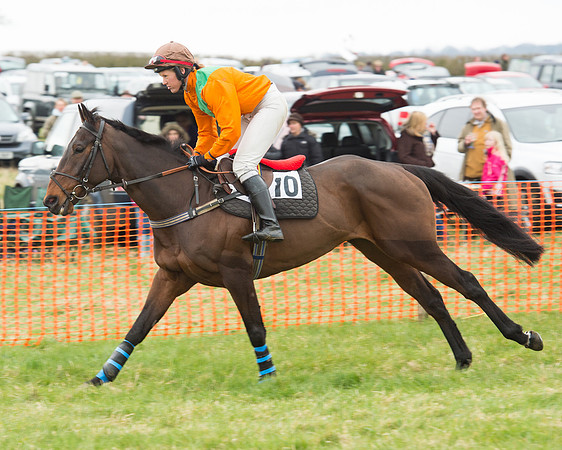 Race 5 - Open Maiden (62 of 190).jpg