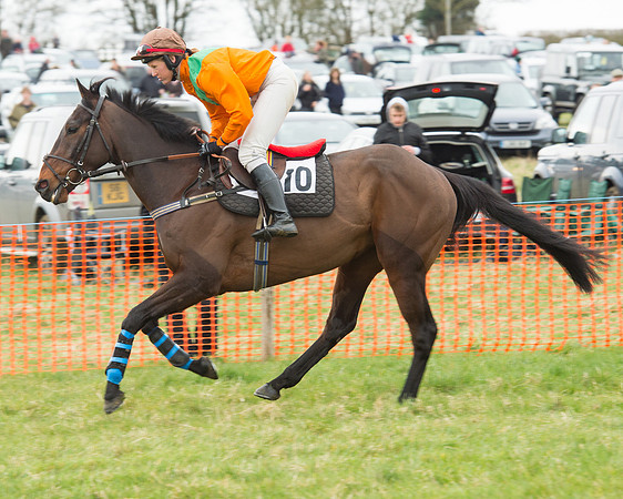 Race 5 - Open Maiden (63 of 190).jpg