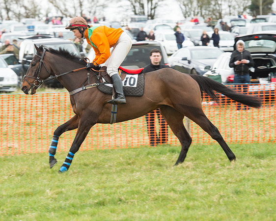 Race 5 - Open Maiden (64 of 190).jpg