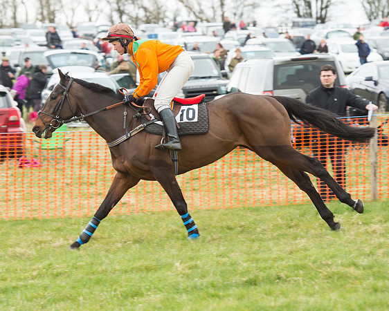 Race 5 - Open Maiden (65 of 190).jpg