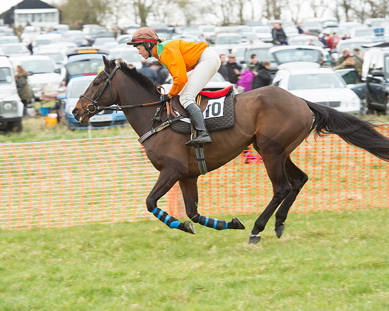 Race 5 - Open Maiden (67 of 190).jpg