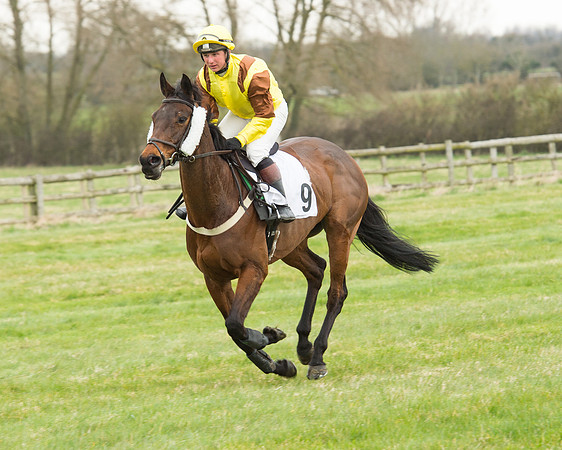 Race 5 - Open Maiden (68 of 190).jpg