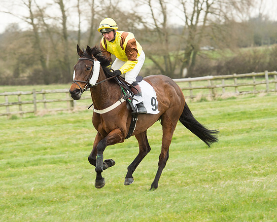 Race 5 - Open Maiden (69 of 190).jpg