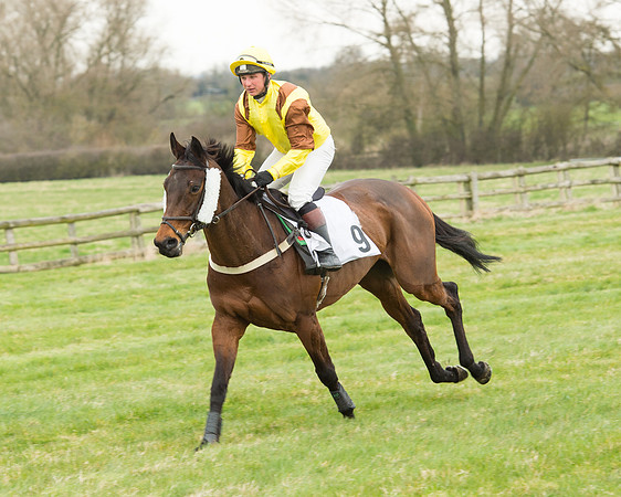 Race 5 - Open Maiden (70 of 190).jpg
