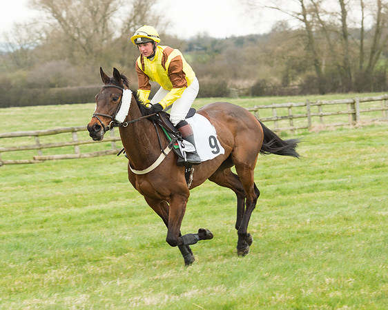 Race 5 - Open Maiden (71 of 190).jpg