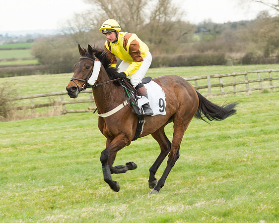 Race 5 - Open Maiden (72 of 190).jpg