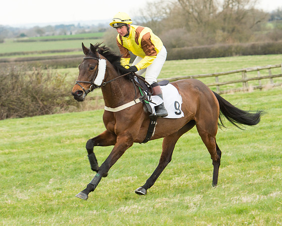 Race 5 - Open Maiden (73 of 190).jpg