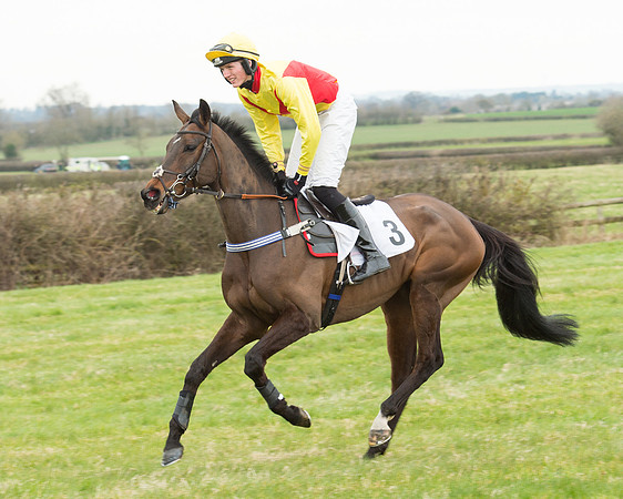 Race 5 - Open Maiden (74 of 190).jpg