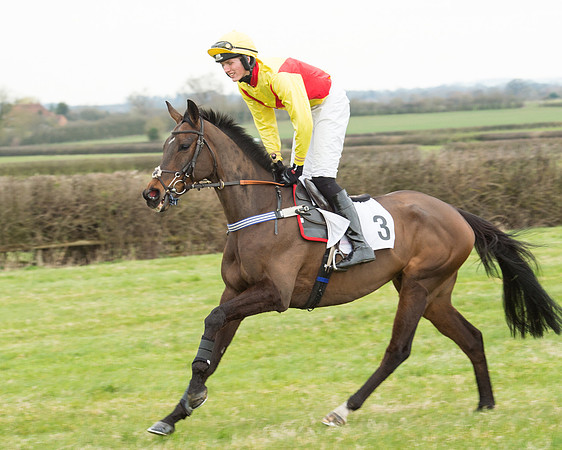 Race 5 - Open Maiden (75 of 190).jpg