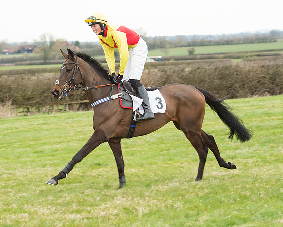 Race 5 - Open Maiden (76 of 190).jpg
