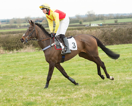 Race 5 - Open Maiden (77 of 190).jpg