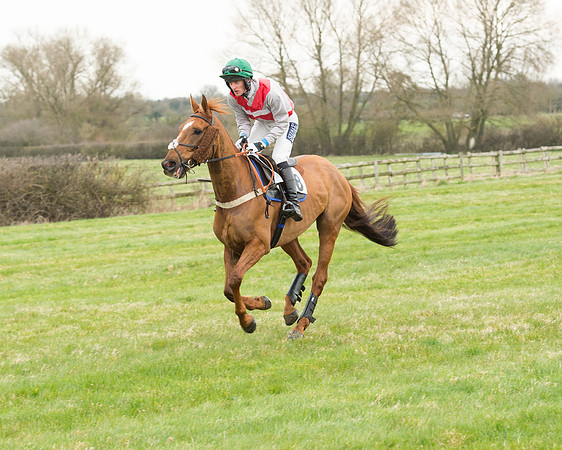 Race 5 - Open Maiden (78 of 190).jpg
