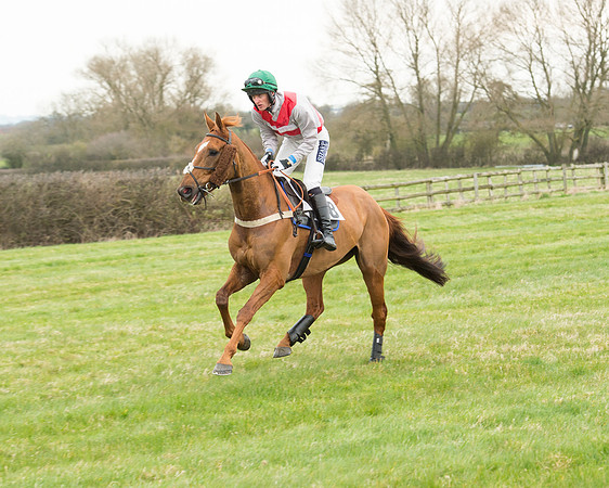 Race 5 - Open Maiden (79 of 190).jpg