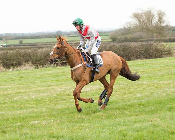 Race 5 - Open Maiden (80 of 190).jpg