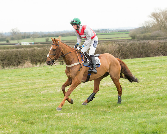 Race 5 - Open Maiden (81 of 190).jpg