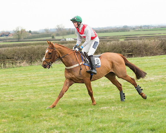 Race 5 - Open Maiden (82 of 190).jpg