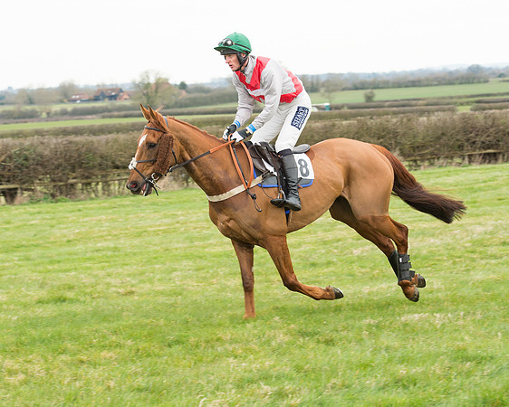 Race 5 - Open Maiden (83 of 190).jpg