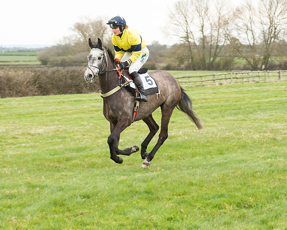 Race 5 - Open Maiden (84 of 190).jpg