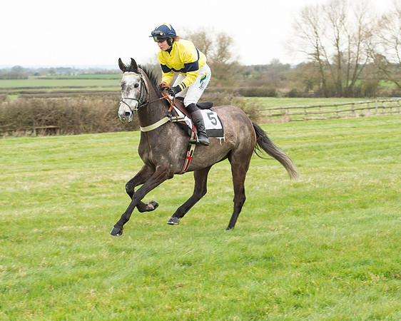 Race 5 - Open Maiden (85 of 190).jpg