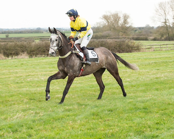 Race 5 - Open Maiden (86 of 190).jpg