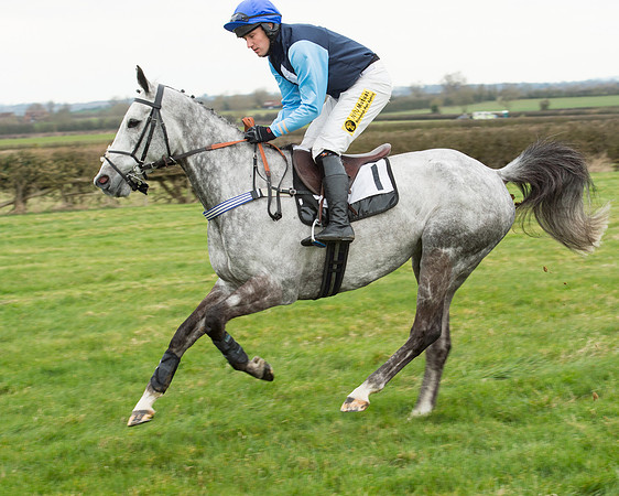 Race 5 - Open Maiden (90 of 190).jpg