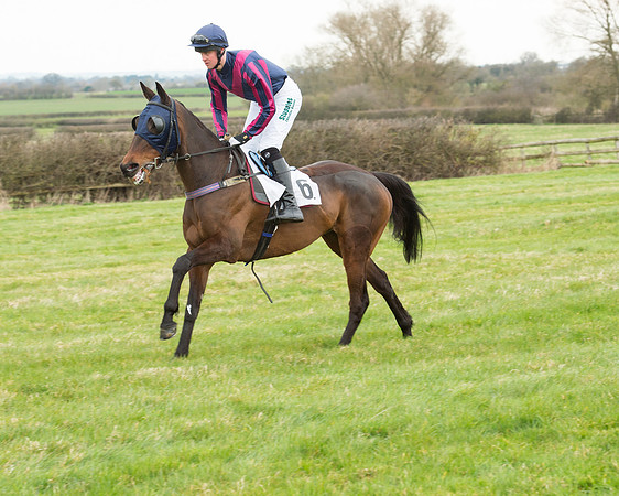 Race 5 - Open Maiden (92 of 190).jpg