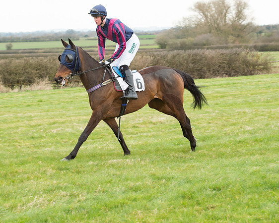 Race 5 - Open Maiden (93 of 190).jpg