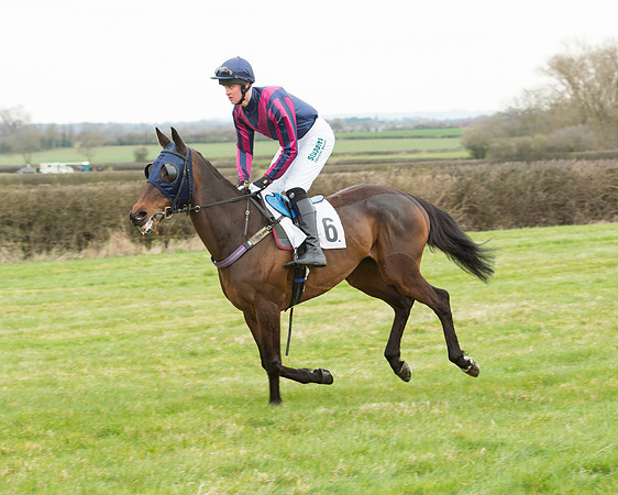Race 5 - Open Maiden (94 of 190).jpg