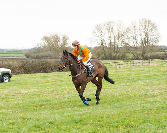 Race 5 - Open Maiden (95 of 190).jpg