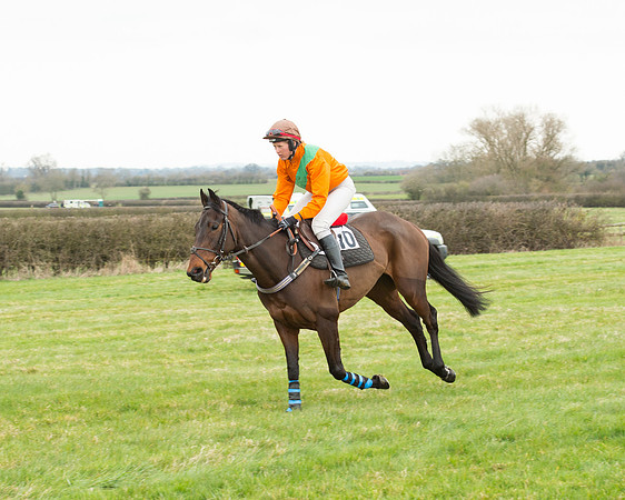 Race 5 - Open Maiden (97 of 190).jpg