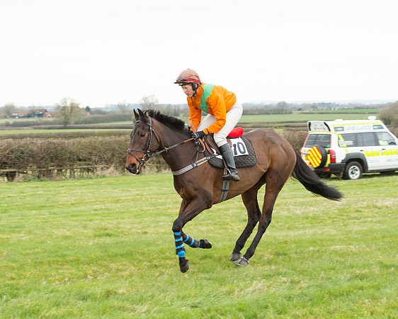 Race 5 - Open Maiden (99 of 190).jpg