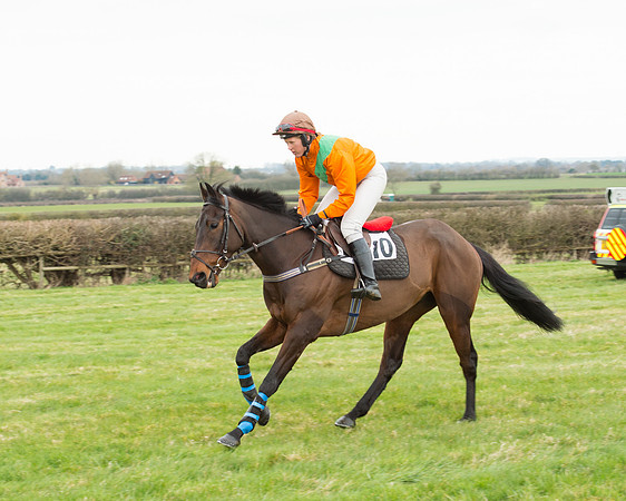 Race 5 - Open Maiden (100 of 190).jpg