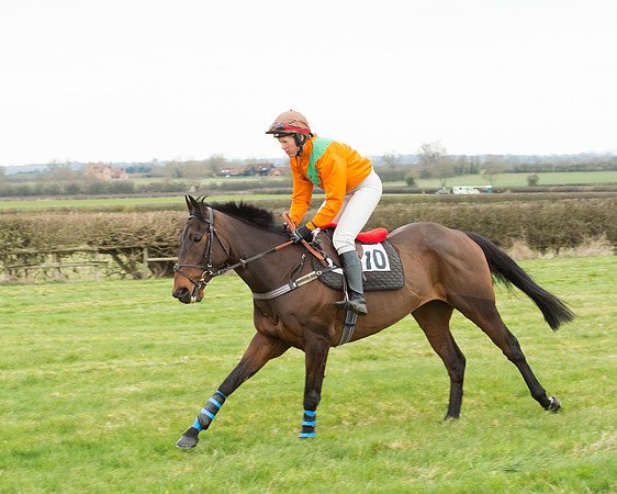 Race 5 - Open Maiden (101 of 190).jpg