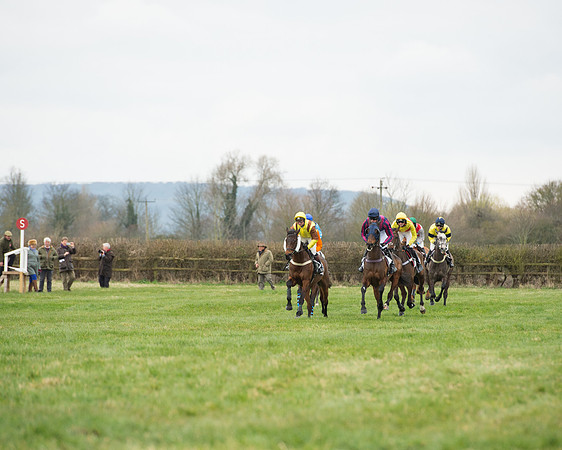 Race 5 - Open Maiden (102 of 190).jpg
