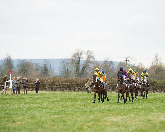 Race 5 - Open Maiden (103 of 190).jpg