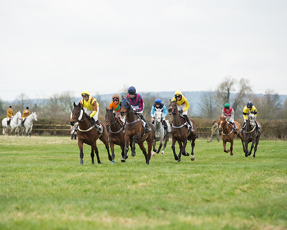 Race 5 - Open Maiden (105 of 190).jpg