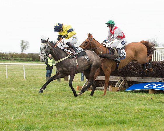 Race 5 - Open Maiden (125 of 190).jpg