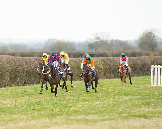 Race 5 - Open Maiden (126 of 190).jpg