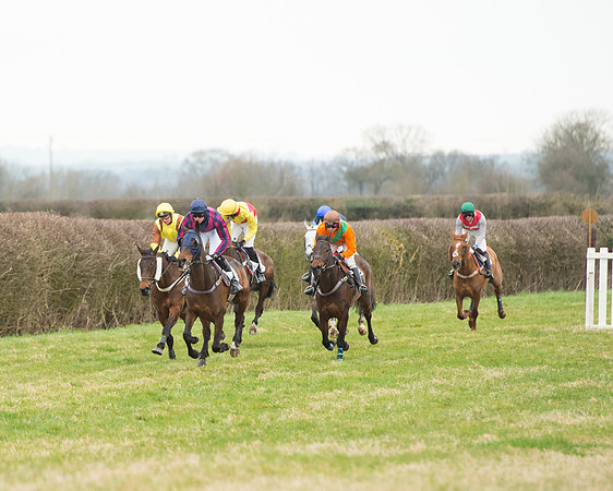Race 5 - Open Maiden (127 of 190).jpg