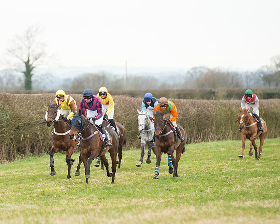 Race 5 - Open Maiden (128 of 190).jpg
