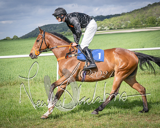 Race 4 - The Dickie Lim Mixed Open Race (16 of 101)