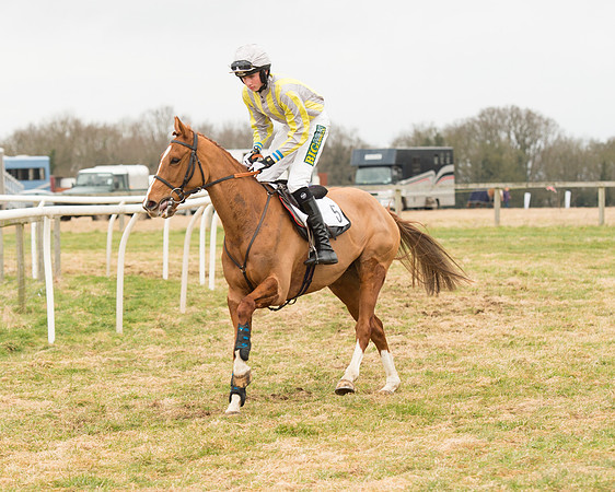 Race 6 - Open Maiden (3 of 100).jpg