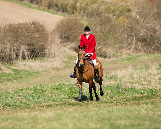 Pony Races  (1 of 134).jpg