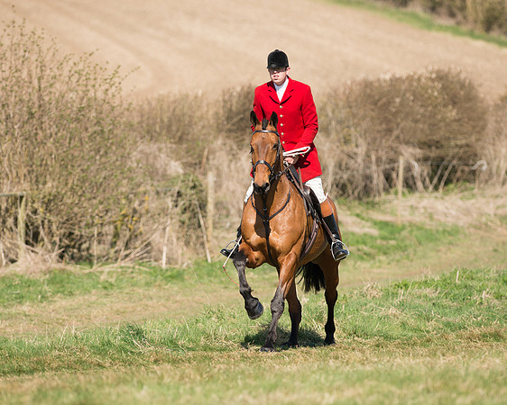 Pony Races  (3 of 134).jpg